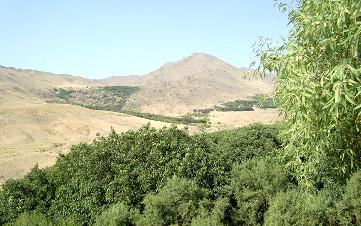 شهرستان تویسرکان شهرستان تویسرکان
