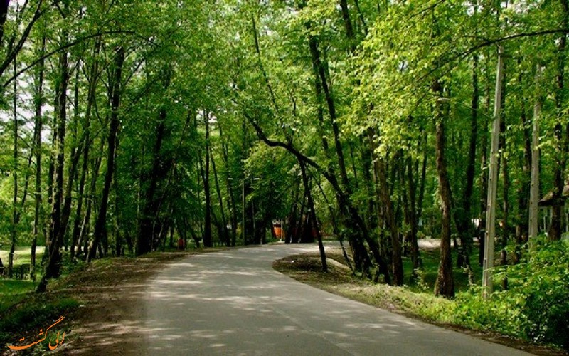پارک جنگلی نور در مازندران پارک جنگلی نور در مازندران