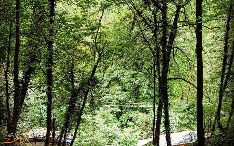 طبیعت آبشار زیبای آب پری طبیعت آبشار زیبای آب پری