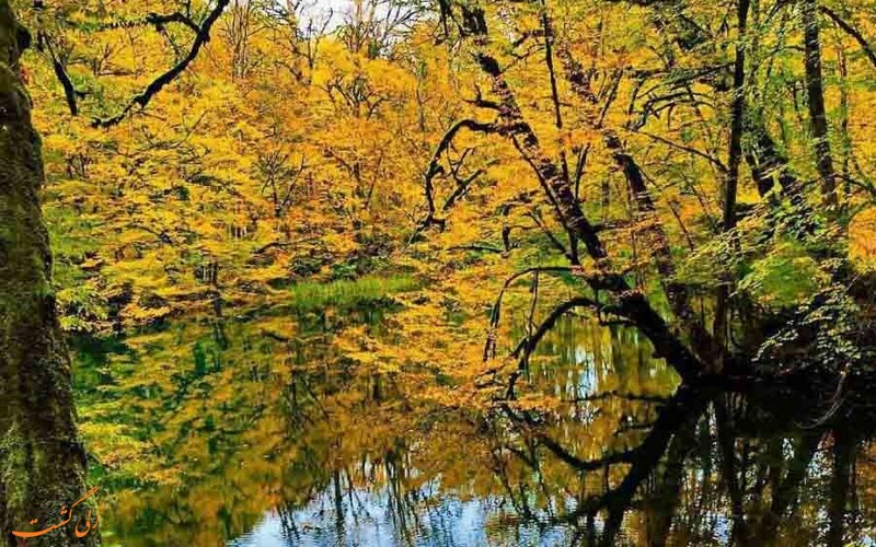 دریاچه فراخین در دل جنگل دریاچه فراخین در دل جنگل