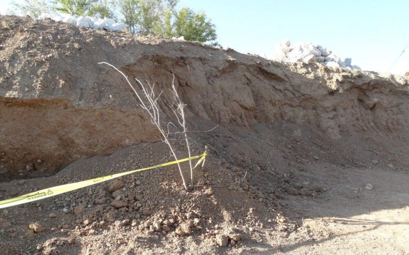 کاوش های باستان شناسی کاوش های باستان شناسی