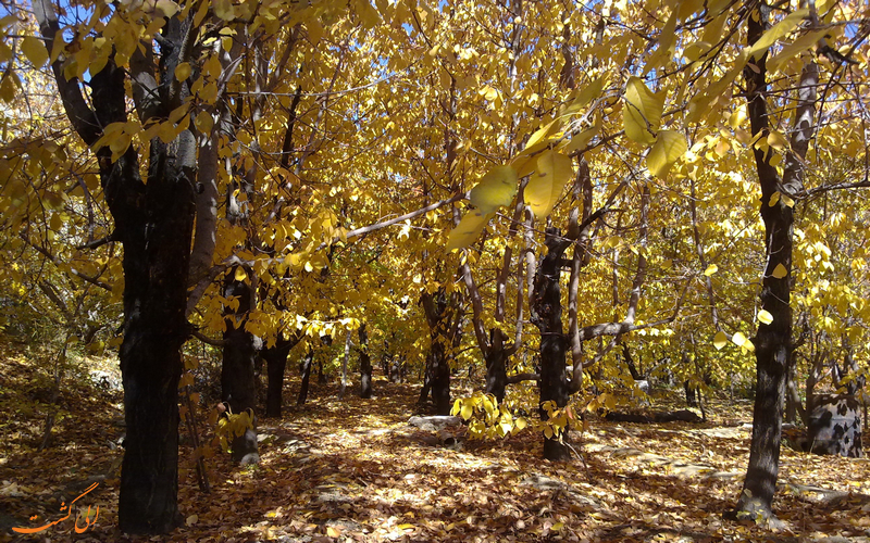 روستای واریش و وردیج روستای واریش و وردیج