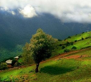 روستای آلاشت