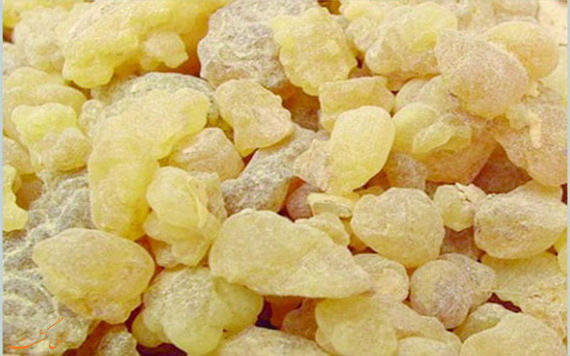 سقز سقز