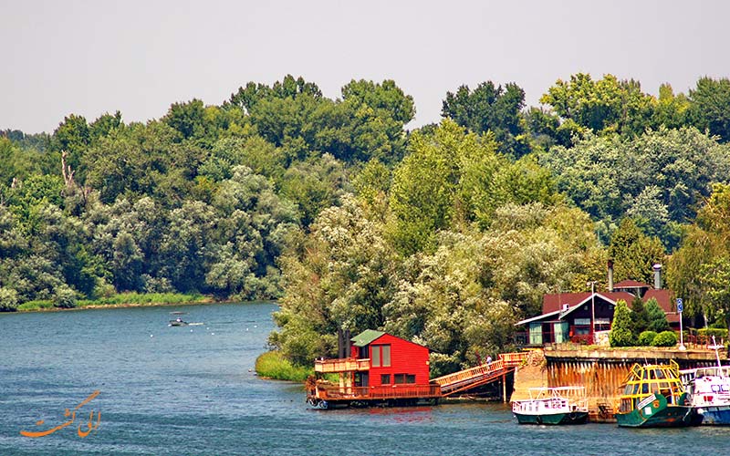 جزیره جنگ بزرگ
