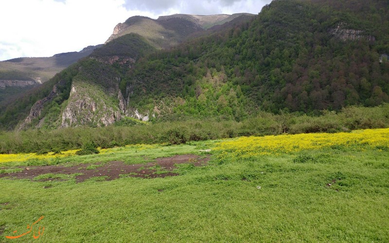 دشت ناز دشت ناز