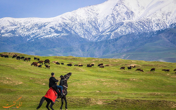 سمرقند در ازبسکتان سمرقند در ازبسکتان