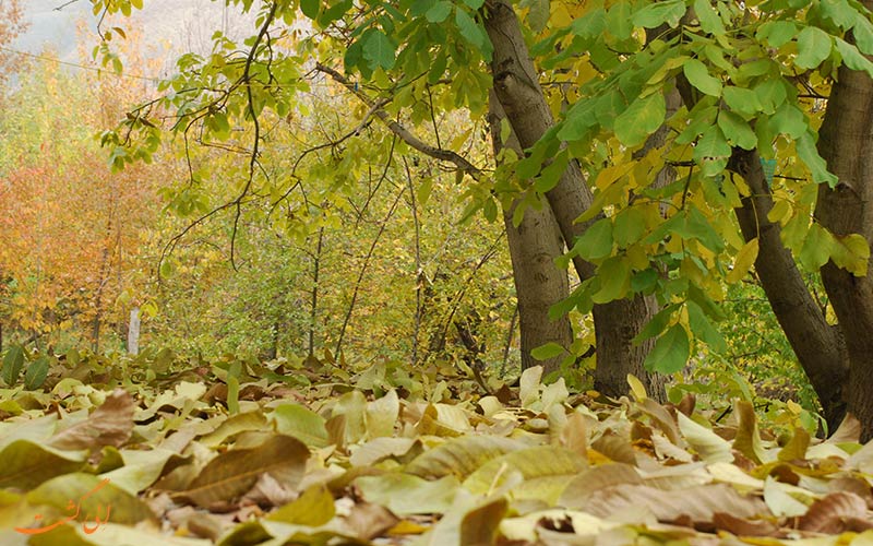 چند مقصد مناسب برای تعطیلات آخر هفته در تهران چند مقصد مناسب برای تعطیلات آخر هفته در تهران