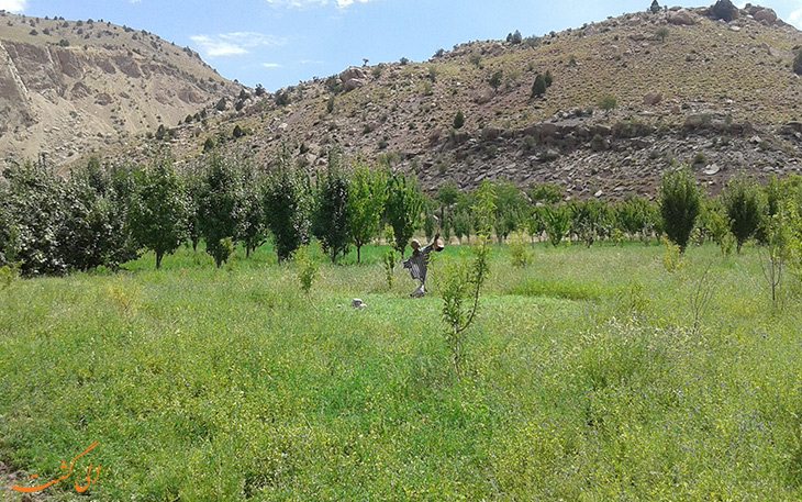 روستای هنزا در کرمان روستای هنزا در کرمان