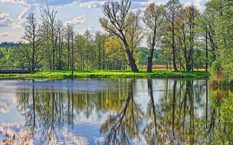 پارک ملی Białowieża پارک ملی Białowieża