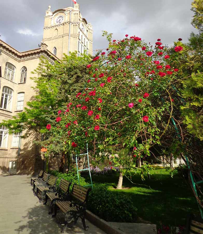موزه کفش تبریز