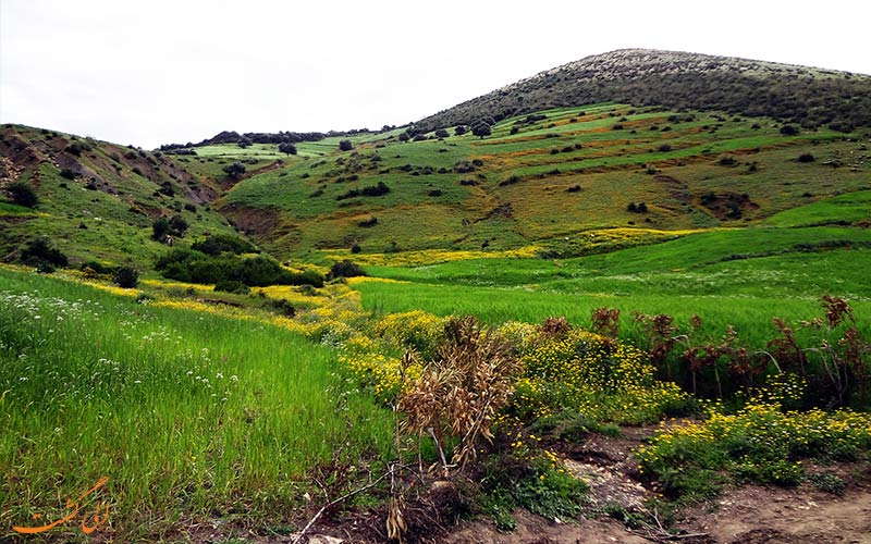 مزایای ارتباط با طبیعت مزایای ارتباط با طبیعت
