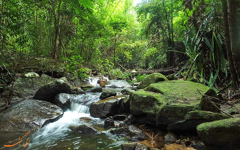 منطقه Khao Phra Thaeo Game Reserve منطقه Khao Phra Thaeo Game Reserve
