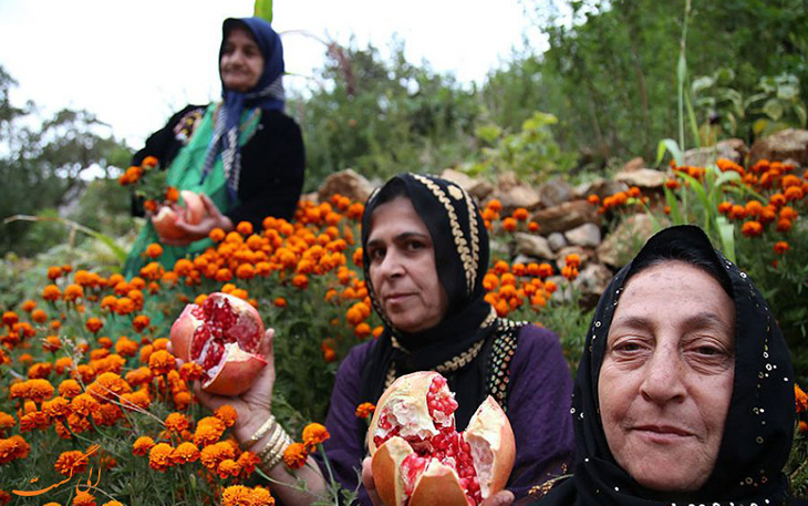 Mohammad-Latif-Hosseini-Nasab-Ilna5 Mohammad-Latif-Hosseini-Nasab-Ilna5