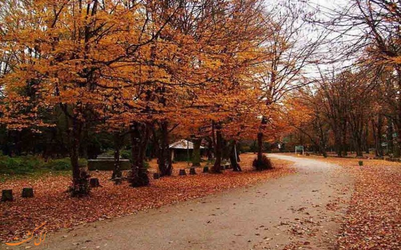 پارک جنگلی سی سنگان پارک جنگلی سی سنگان