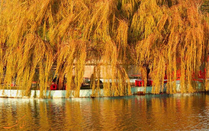 پاییز ترکیه-آنکارا پاییز ترکیه-آنکارا