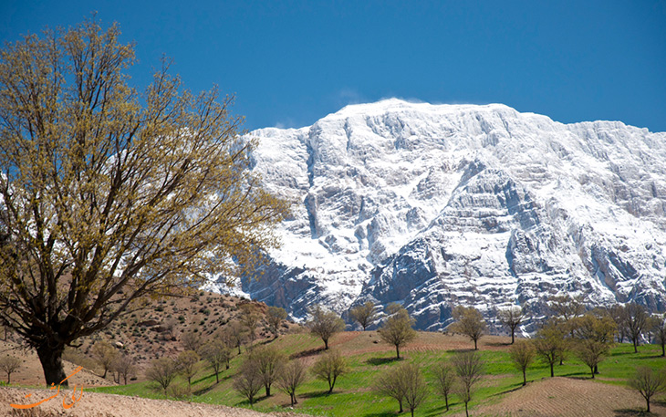کوه های دنا کوه های دنا