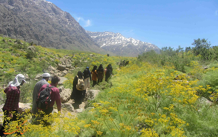 پیاده روی در تنگ گنجه ای در یاسوج پیاده روی در تنگ گنجه ای در یاسوج