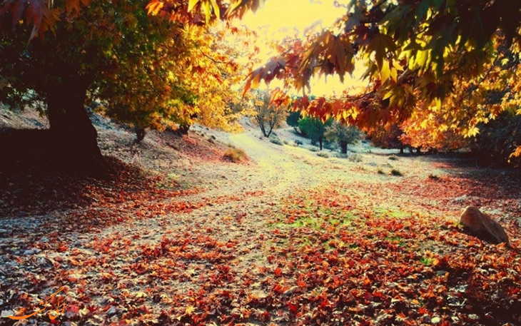 پاییز در تنگ گنجه ای در یاسوج پاییز در تنگ گنجه ای در یاسوج