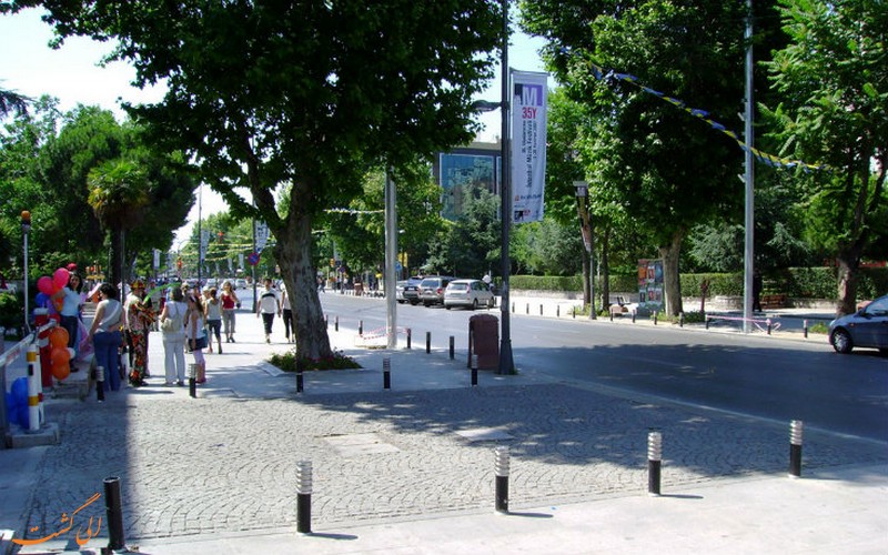 باگات کادسی باگات کادسی