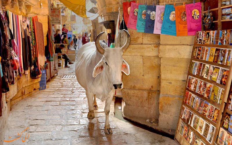 توصیه های مسافران برای سفر به هند-بهداشت توصیه های مسافران برای سفر به هند-بهداشت