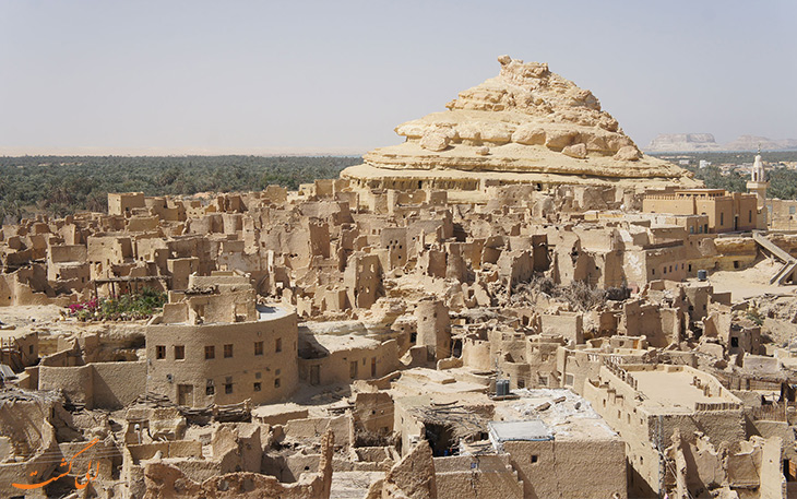 سیوا اوسیس سیوا اوسیس