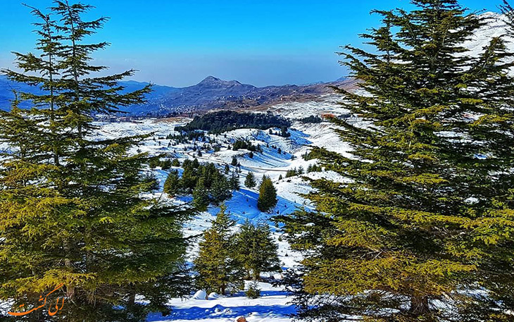سرو خدا سرو خدا