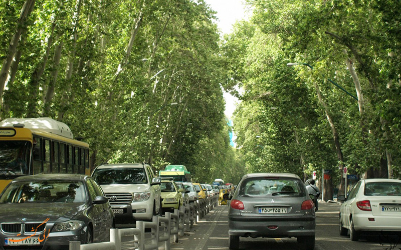 ثبت درختان خیابان ولیعصر در یونسکو ثبت درختان خیابان ولیعصر در یونسکو
