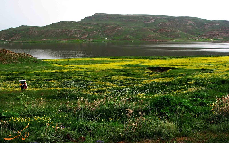 ● دریاچه ی نئور | neor lake ● دریاچه ی نئور | neor lake