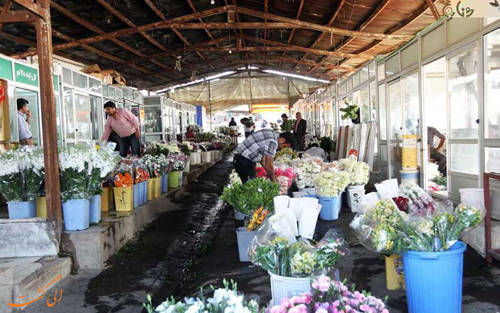 بازار گل خاوران بازار گل خاوران