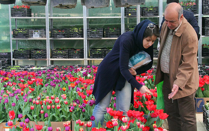 مرکز گل فروشی تهران مرکز گل فروشی تهران