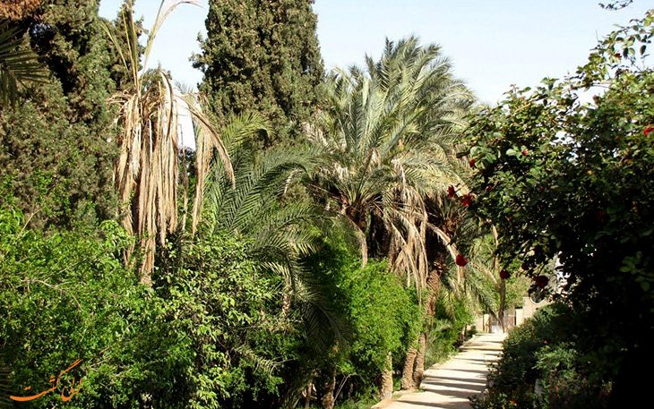طبیعت سرسبز باغ گلشن طبیعت سرسبز باغ گلشن