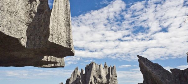 جنگل سینجی در ماداگاسکار | tsingy Madagascar
