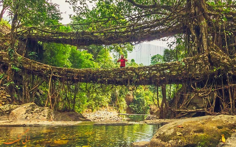 Cherrapunji-چراپونچی در نقشه کامل هند Cherrapunji-چراپونچی در نقشه کامل هند