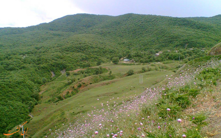 روستای افجه روستای افجه