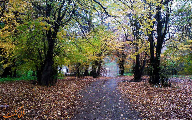 روستای زرین دشت روستای زرین دشت