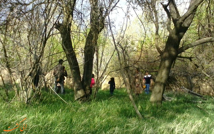 طبیعت گردی های نوروز طبیعت گردی های نوروز