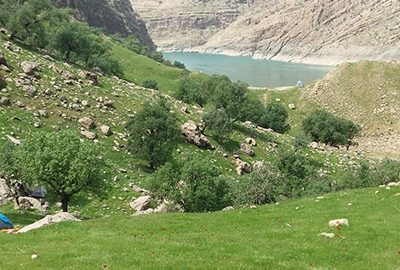 دشت سوسن در ایذه