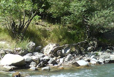 سفرهای یکروزه