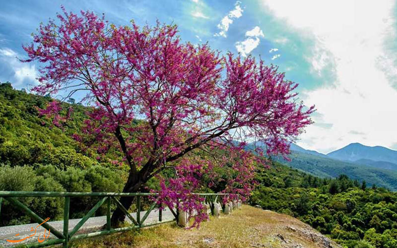 بهترین زمان برای سفر به کوش آداسی بهترین زمان برای سفر به کوش آداسی