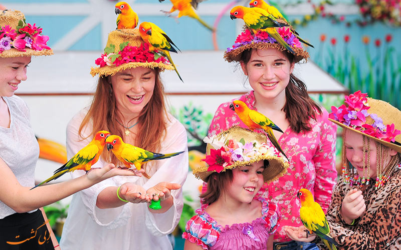 پارک پرندگان پوکت | Phuket Bird Park پارک پرندگان پوکت | Phuket Bird Park