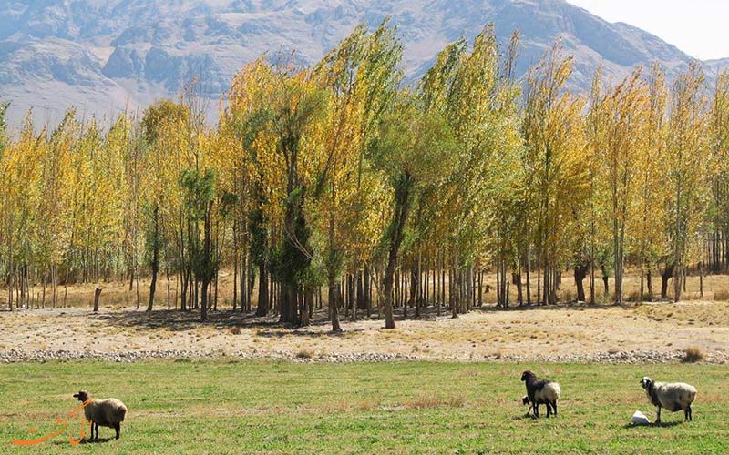 مروری بر تاریخچه ی بروجن مروری بر تاریخچه ی بروجن