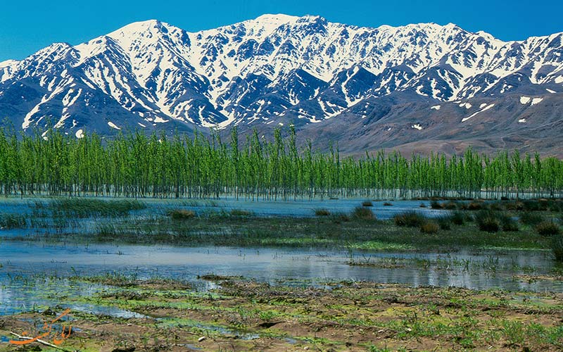 گردشگاه چشمه ی سیاسرد گردشگاه چشمه ی سیاسرد