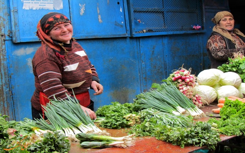 زبان گرجی زبان گرجی