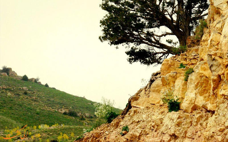 سمنان-مناطق شکار ممنوع ایران سمنان-مناطق شکار ممنوع ایران