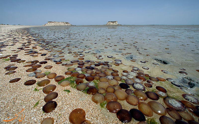 سواحل بکر-راهنمای سفر به جزیره هندورابی سواحل بکر-راهنمای سفر به جزیره هندورابی