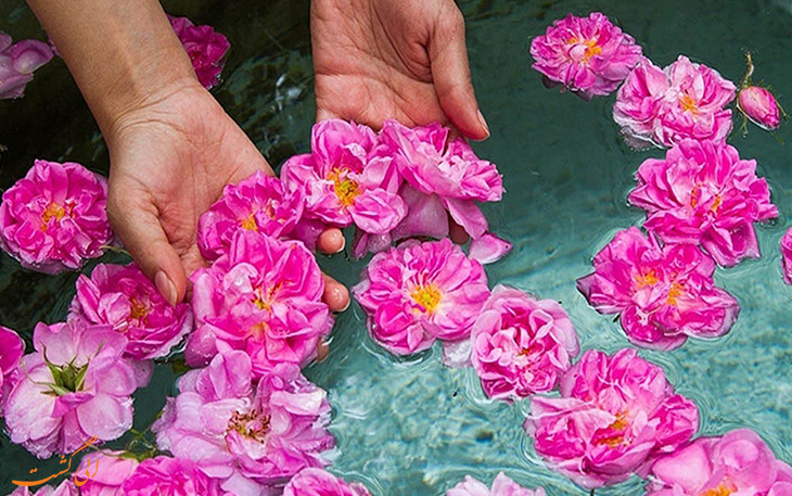 گلاب گیری قمصر کاشان گلاب گیری قمصر کاشان