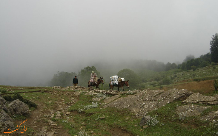 طبیعت گردی حرفه ای در آغوزحال طبیعت گردی حرفه ای در آغوزحال