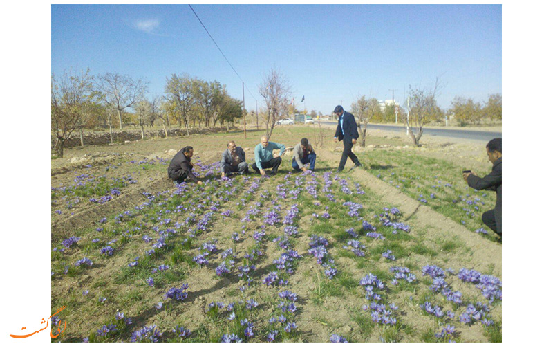 روستای سنو در گناباد روستای سنو در گناباد