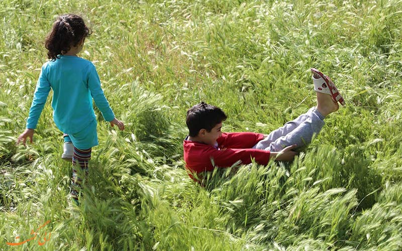 آداب مراسم پنجاه به در قزوین آداب مراسم پنجاه به در قزوین